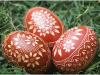 Húsvéti tojásvadászat a Szegedi Vadasparkban