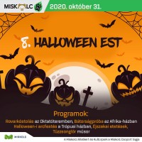Halloween Est a Miskolci Állatkertben 2020. október 31-én!