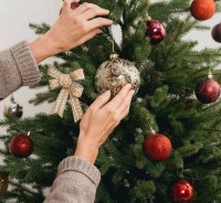 Ne vágj ki minden fát... Idei karácsonyfáját is rendelje meg online - HungaryCard kedvezménnyel!