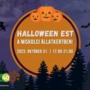 Halloween Est a Miskolci Állatkertben október 31-én!
