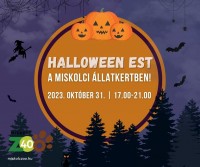 Halloween Est a Miskolci Állatkertben október 31-én!