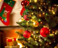Ne vágj ki minden fát... Idei karácsonyfáját is rendelje meg online - HungaryCard kedvezménnyel!
