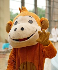 Nyarat idéző vizes élmények az őszi szünetben is az Aquaworldben!