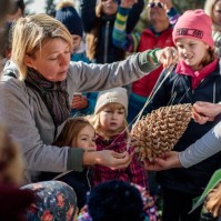 Tobozszüret és Márton-napi libalakoma a Folly Arborétumban!