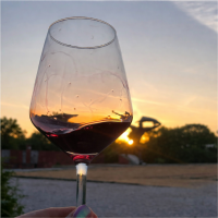 Fel vörösök, fehérek! – Borkóstoló időutazás a Memento Park szobrai között