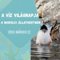 Programok országszerte a Víz Világnapján