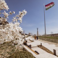 Fedezze fel a megújult Citadellát!