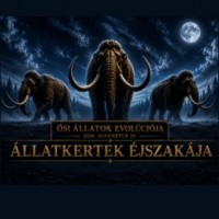 Az állatkertekben éjszaka sem áll meg az élet - Állatkertek Éjszakája 2026
