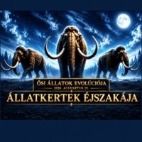 Az állatkertekben éjszaka sem áll meg az élet - Állatkertek Éjszakája 2026