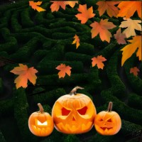 Állati jó Halloween a HungaryCard partnereinél