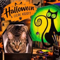 Cicás Halloween a Macska Múzeumban